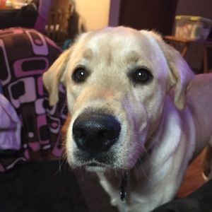 Meet your Posher, Esther